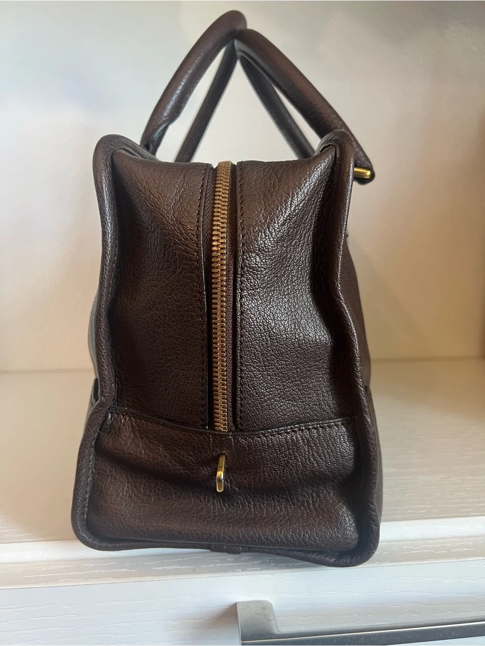 Loewe Amazona Bag